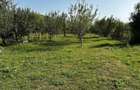 Vand tere extravilan in zona munte Corbisori Arges - 5