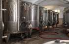 Crama premium de VANZARE -60 HA- CONAC ISTORIC- Podgoria Dragasani - 5