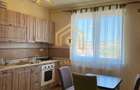 Apartament de inchiriat 2 camere Drumul Petrestiului, Sebes - 6