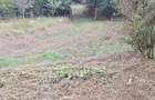 Vand gradina intravilan pe Valea Barzavii - 3