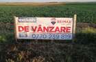 Teren de 15000 mp, în Topolovățu Mare - 1