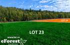 eForest - Loturi de casa intre paduri, iluminat, strazi amenajate - 6