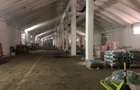 Depozit cereale, teren 20.596 mp, comuna Sagna, județul Neamț - 7
