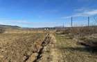 Teren agricol de vinzare - 5