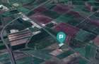 Teren 22.500 mp – Pecica, jud. Arad - 12