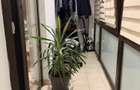 Apartament 2 camere, 57 m2, parcare privata si boxa in pod Strada Soarelui