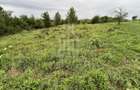 Teren intravilan de vânzare în Daia Nouă – 1.000 mp - 3