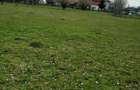 Vand teren 4200 m2 Campulung Arge?