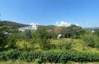Teren de la 240mp la 2900mp, Targu Neamt, spectaculos, str. Vulturi