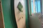 Inchiriez apartament 2 camere - 5