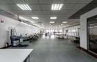 Oportunitate: Hală de producție și depozitare cu birouri în Arad - 5