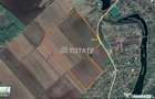 Teren intravilan, 40 ha, pretabil parc fotovoltaic /logistic - Sinesti (Ialomita) - 3