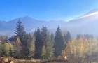 Teren intravilan 3900mp,39arii Borsa Maramures,65000euro - 4