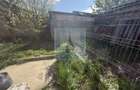 Casa 3 camere,singur in curte,360 mp teren - Halchiu/Bra?ov - 15