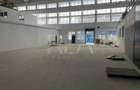 Hala renovata zona industriala Jilava - 3