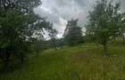 Vand teren intravilan - 9