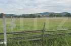 1100 mp de teren intravilan in Livezile, perfect pentru constructie - 3