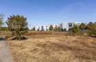 O poziție rară în Băneasa – teren 1.000 mp lângă Greenfield, comision 0%