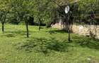 Vand Casa cu Livada - 0753019211 - 7