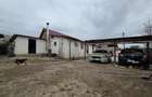 Casă cu Teren 460 Mp în Mineri - 8