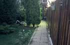 Vand apartament 3 camere