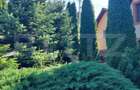 Casa de vanzare in Vatra Dornei, 65 mp amprenta la sol - 17