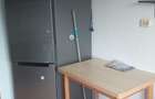 Chirie apartament 3 camere Mircea cel Batran - 8