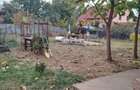Vand teren pt casa 577mp in Dumbrava-Rosie Neamt..