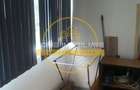 Apartament 1 Camera Decomandat Lidl Nicolina - 4