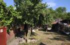 Casa de vanzare la tara - Sat Boian, Comuna Ceanu Mare cu teren 40 ari - 1