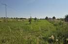 Teren intravilan in Izvorani Delta Snagov