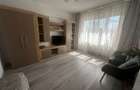Inchiriere apartament 1 camera zona Calarasilor Viziru etaj 2 - 5