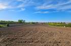 Teren intravilan 9.378 m² în Santău — liniște și verdeață, 8 min de Băile Tășnad