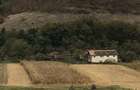 Vand teren intravilan foarte mare, 6700m2 in loc. Buceava, Com. Gurahont