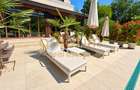 SUPERB/ PISCINA/vEGETATIE MATURA/ IANCU NICOLAE - 3