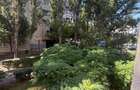 Apartament cu 3 camere decomandat în Tineretului - 20