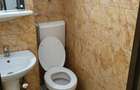 Apartament 2 camere Podul Inalt - 7