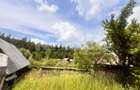 Casa Batraneasca cu 74 Ari Teren I Suceava/Sasca Mare I 60.000E - 2