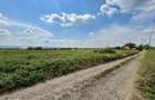 Teren intravilan 551 mp Vorove?ti Miroslava, Ia?i 22 ml deschidere - 5