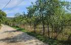 Intravilan la DJ Glambocelu-Bogati, accept si schimburi - 7