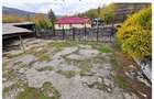 Proprietate industrială 1.350 m² – hale, birouri, depozitare, acces direct DN10 - 4