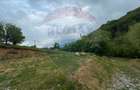 Teren 2,000mp Copalnic-Manastur / Strada Principala - 3