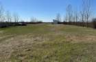 Vanzare Inchiriere teren 5000 mp - DJ 102 Albert Intersectie Paulesti
