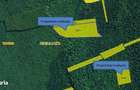 Teren extravilan padure, cota parte de 1/48 Horgesti, ID: R2325836 - 3