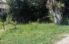 De vanzare 2 loturi, 913 mp situate in str Libertati 123A, Breaza de Jos - 5