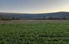 Teren extravilan-arabil 5800m2 - 9
