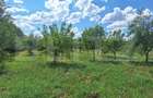 Teren intravilan, 4600 mp, dezvoltari imobiliare, Timisoara - 4