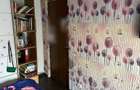 Apartament spatios 3 camere, semineu + 3 boxe - Balotesti!