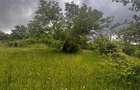 Vand teren intravilan - 4