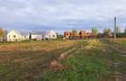 Teren intravilan Paleu 550 mp sau 1100 mp | Toate utilita?ile | Langa noua centura - 3